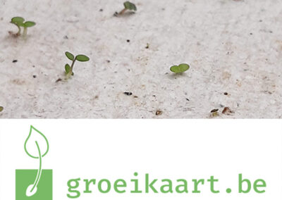 Groeikaart